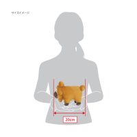 Authentic Pokemon plush Bidoof 18cm (long) San-ei